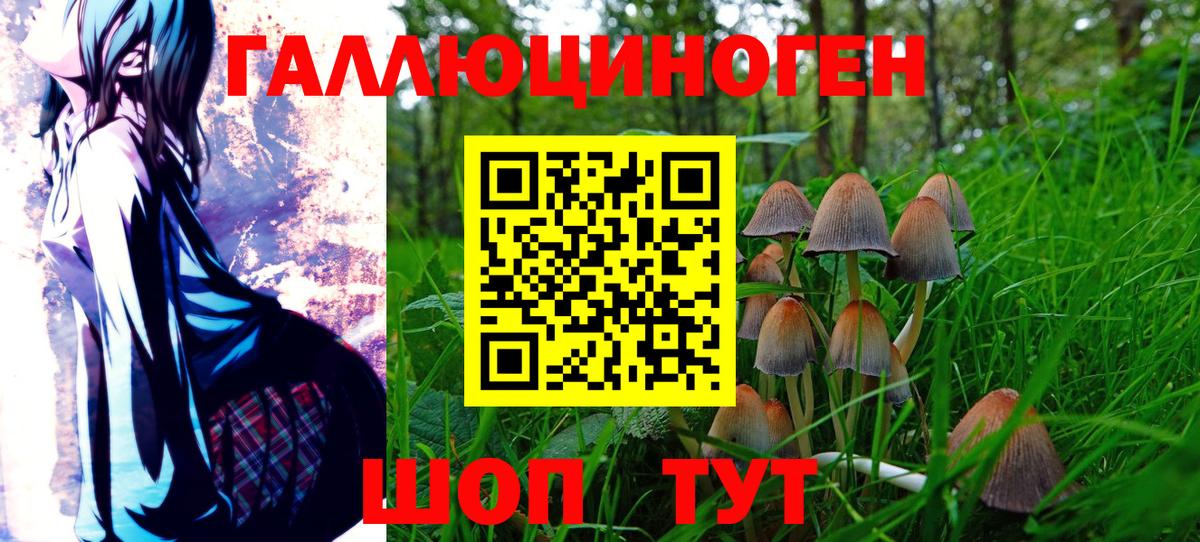 Псилоцибиновые грибы MAGIC MUSHROOMS  Вход с VPN  Сатка  Галлюциногенные грибы Psilocybine cubensis 