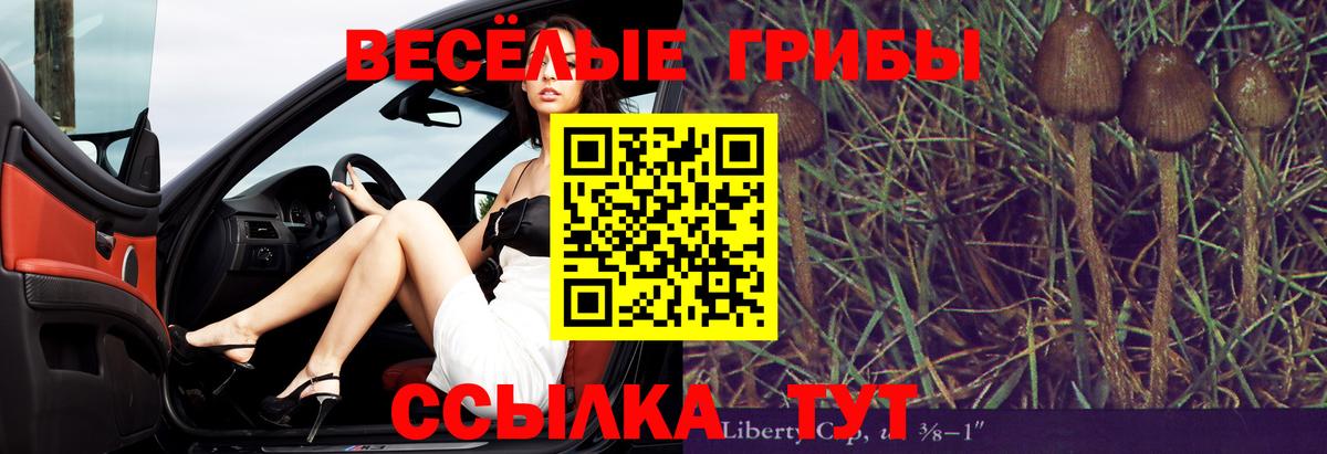 Псилоцибиновые грибы GOLDEN TEACHER Сатка